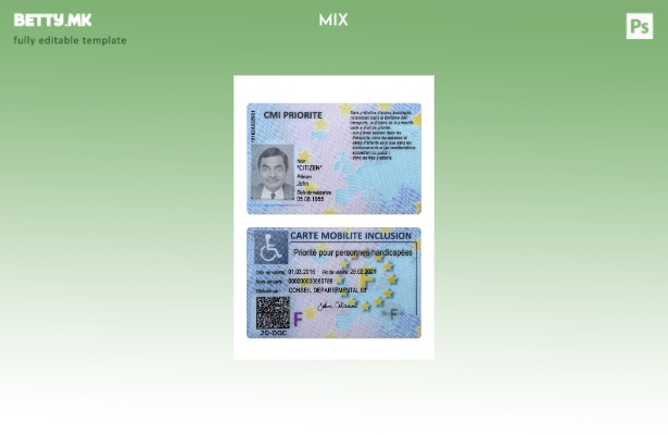 Модерен стил на шаблон France carte mobilite inclusion (CMI).